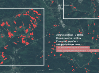 Лісівники Закарпаття розповіли, для чого вони хочуть використовувати у своїй роботі космічні знімки "Google Maps"
