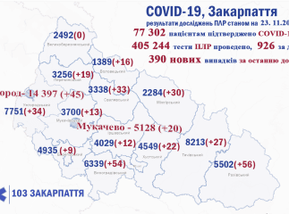 За минулу добу на Закарпатті померло дуже багато людей від коронавірусу
