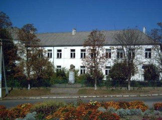 Скандал на Закарпатті: школярці у капучино підмішали віагру
