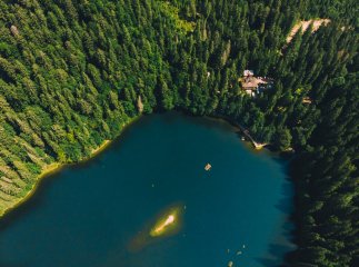 Подорож Закарпаттям влітку: які місця варто відвідати