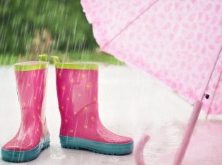 Наступний тиждень принесе на Закарпаття короткочасні дощі