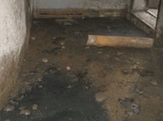 Жителям однієї з ужгородських багатоповерхівок вже близько семи років псує життя каналізація (ВІДЕО)