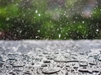 На Закарпатті очікуються грози та значні дощі