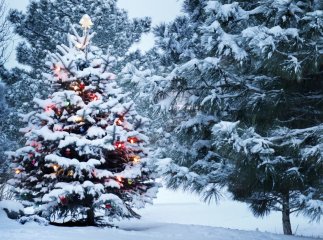 Погода на грудень 2022 року: що прогнозують синоптики