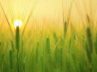 11 червня — яке церковне свято в православному календарі