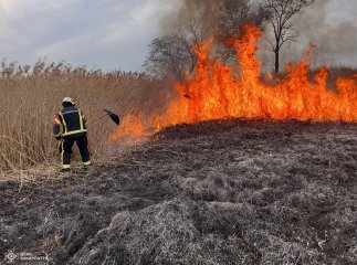 «Хазяйновиті» закарпатці почали масово підпалювати сухостій