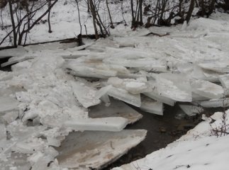 Ужгород і його околиці можуть бути підтоплені через льодовий затор у Словаччині