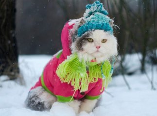 На Закарпаття сунуть морози: прогнози синоптиків