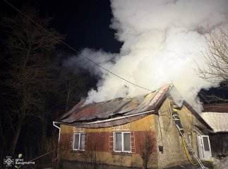 Жінку врятували небайдужі сусіди: у ДСНС розповіли про випадок на Хустщині