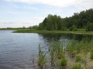 Фатальна рибалка: загинув чоловік із Мукачева