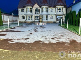 Підвиноградів