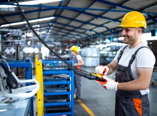 Понад 400 підприємств переїхали на Закарпаття: скільки робочих місць створили