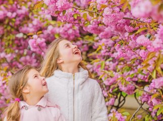 Коли у школах розпочнуться весняні канікули і скільки відпочиватимуть учні