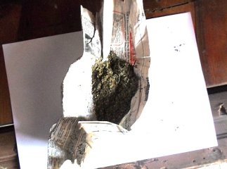 Берегівчанин влаштував у своєму помешканні наркопритон