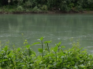 Прикордонники виявили у Тисі тіло 23-річного українця Прикордонники виявили у Тисі тіло 23-річного українця