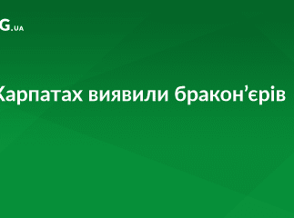 На Рахівщині лісівники виявили озброєних бракон’єрів