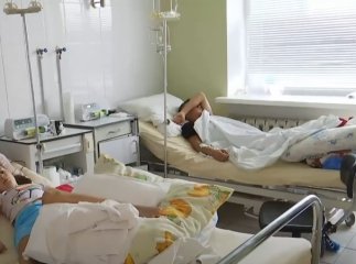 Гадюки вкусили двох дітей: хлопець та дівчина перебувають у реанімації