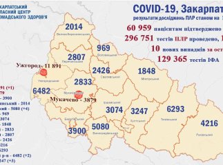 Скільки людей захворіли на коронавірус у Закарпатті: оновлена статистика