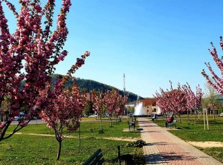 Весна у Карпатах: 3 цікаві локації для відпочинку та перезавантаження Весна у Карпатах: 3 цікаві локації для відпочинку та перезавантаження