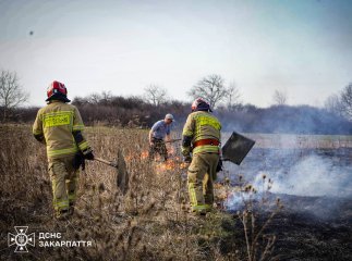 Закарпатці «взялись за старе»: в області фіксують підпали трави та чагарників