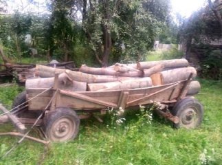 За сприяння небайдужого жителя Ужгородщини, правоохоронці затримали двох крадіїв