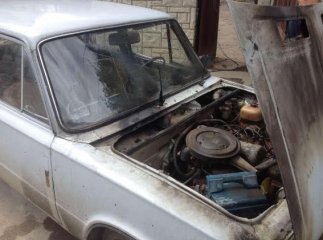 Берегівському палію загрожує 10 років позбавлення волі