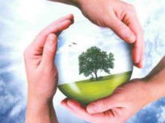 Закарпатці сумлінно сплатили екоподаток на суму понад 3 млн 200 тисяч гривень