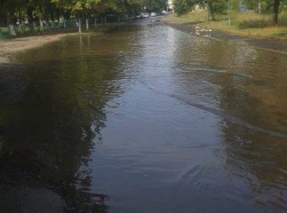 Батьки ужгородських школярів скаржаться на якість дороги, яка веде до місцевої ЗОШ №8
