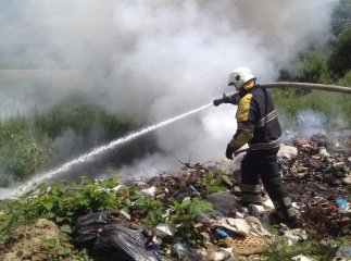 Поблизу курортного закарпатського села сталася масштабна пожежа