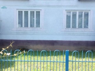 Продам будинок в центрі села Верхня Визниця