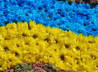 Мукачівські школярі серед переможців Всеукраїнської акції: стали відомі імена призерів