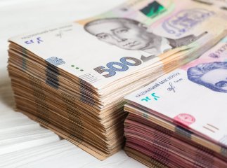 В Україні планують надавати 100 тисяч гривень на власну справу