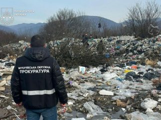 Посадовець отримав підозру за шкоду на півмільйона гривень у Сваляві