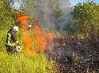 Закарпатець отримав опіки під час спалювання сміття та сухої рослинності