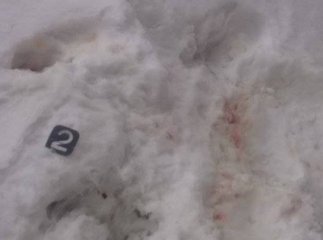 Свідки кривавої бійки на Драгообраті розповіли деталі інциденту