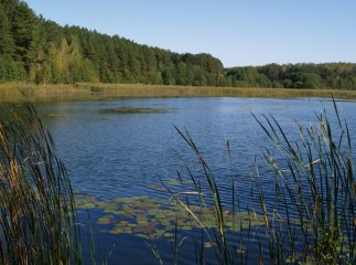 Чисті водойми Закарпаття – наша спільна турбота