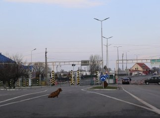 Прикордонна служба оприлюднила важливе повідомлення для подорожуючих