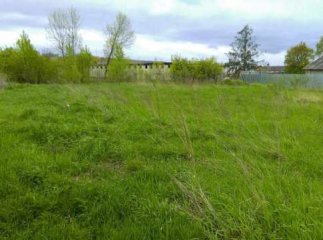 Суд конфіскував від недобросовісного підприємця земельну ділянку