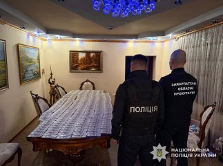 Діяли під прикриттям: у поліції розповіли, що коїлось в Берегівському районі