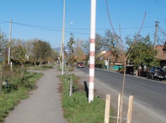 Іршава підхопила "рожеву" лихоманку (ФОТО)
