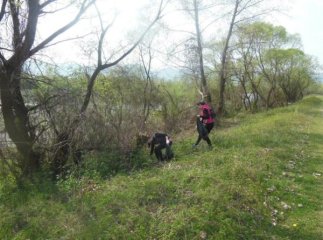 Молодь Буштина очистила від сміття пляжну територію річки Тереблі