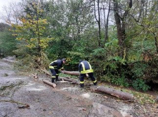 Рятувальники розповіли про наслідки негоди у Закарпатті