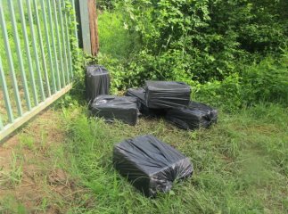 Прикордонники виявили за 600 метрів від кордону з Угорщиною 10 ящиків сигарет