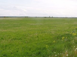 На Берегівщині повернули у державну власність земельну ділянку вартістю близько 2 мільйонів