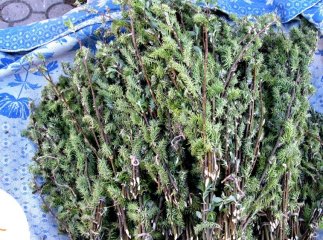 У Мукачеві християни відзначають Вербну неділю