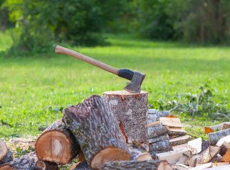 Яким родинам дадуть 19 400 гривень для купівлі дров на зиму