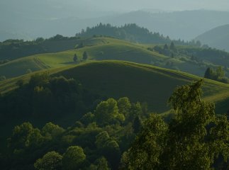 У ТСН показали неймовірної краси сюжет про Закарпаття