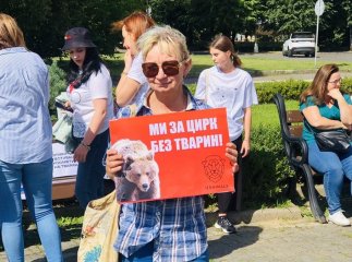 Ми за цирк без тварин: в Ужгороді провели зоозахисний марш