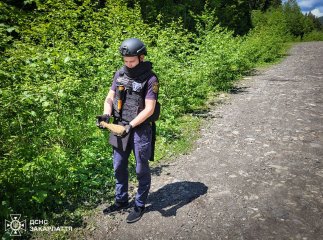 Замість грибів несподівану знахідку виявили на Рахівщині