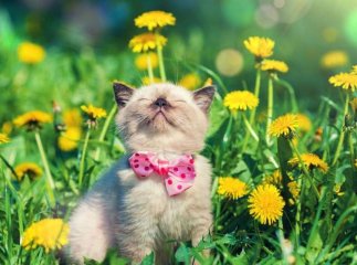 Погода на травень 2021 року: що прогнозують синоптики